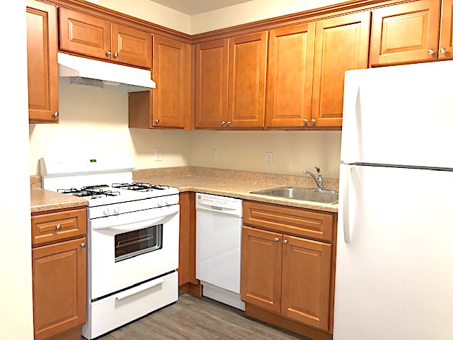 1 Bedroom Bedrooms, ,1 BathroomBathrooms,Apartment,For Rent,1008