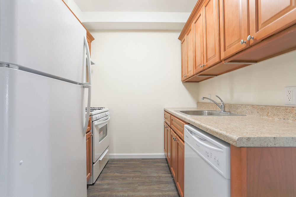 1 Bedroom Bedrooms, ,1 BathroomBathrooms,Apartment,For Rent,1009